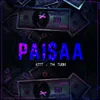 About Paisaa Song