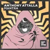 About Mantra (Extended Mix) Song