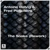 About The Snake (Rework) [Extended Mix] Song