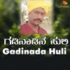 About Gadinada Huli Song