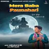 About Mera Baba Paunahari Song