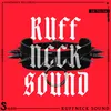 Ruffneck Sound (Extended Mix)