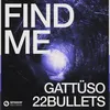 About Find Me (Extended Mix) Song