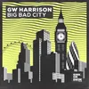 About Big Bad City (Extended Mix) Song