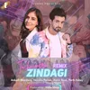 About Tu Hi Meri Zindagi (Remix) Song