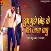 About Tum Mujhe Chhod Ke Mat Jana Babu Song