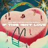 About If This Isn't Love (Extended Mix) Song