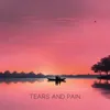 About Tears And Pain Song