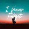 About I Never Forget Song