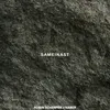About Sameinast (feat. Naber) Song