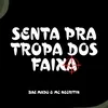 About Senta Pra Tropa Dos Faixa Song