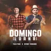 About Domingo (Luana) Song