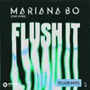 About Flush It (feat. STRIO) [Club Mix] [Extended Mix] Song