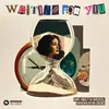 About Waiting For You (Extended Mix) Song