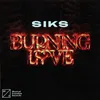 About Burning Love (Extended Mix) Song