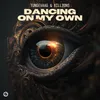 About Dancing On My Own (Extended Mix) Song