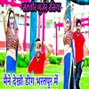 About Maine Dekhi Deeg Bharatpur Me Song