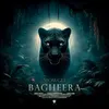 About Bagheera Song
