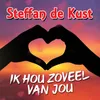 About Ik Hou Zoveel Van Jou Song