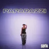 About PAPARAZZI Song