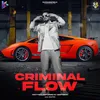 Criminal Flow (feat. Shaitan)