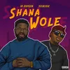 About Shanawole (feat. T-Classic) Song