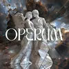 About Operum Song