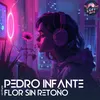 About Flor Sin Retoño (LoFi) Song