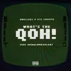 What's The Qoh! (feat. Okmalumkoolkat)