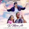 About Tu Mera Ae Song