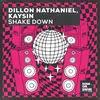 Shake Down (Extended Mix)
