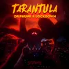 About Tarantula (Extended Mix) Song