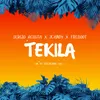 About Tekila Song