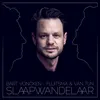 About Slaapwandelaar Song