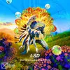 About LSD (Extended Mix) Song