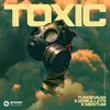 About Toxic (Extended Mix) Song