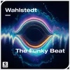 About The Funky Beat (Extended Mix) Song