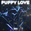 About Puppy Love Song