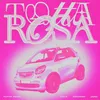 About TUTTA ROSA Song