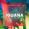 About Iguana Song