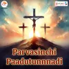 About Parvasinchi Paadutunnnadi Song