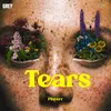 About Tears Song