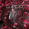 About Cupido Song