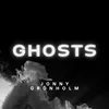 About Ghosts Song