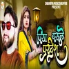 About Piyaa Bssale Pardesh Song