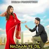 About Nadaan Ye Dil Song