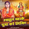 About Adhul Chadake Puja Kare Lijiye Song