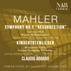 Symphony No. 2 in C Minor, IGM 8: I. Allegro maestoso