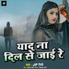 About Yad Na Dil Se Jai Re Song