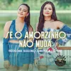 About Se o Amorzinho Não Muda Song